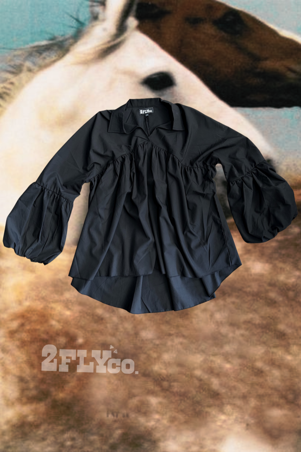 THE BRAZOS TOP