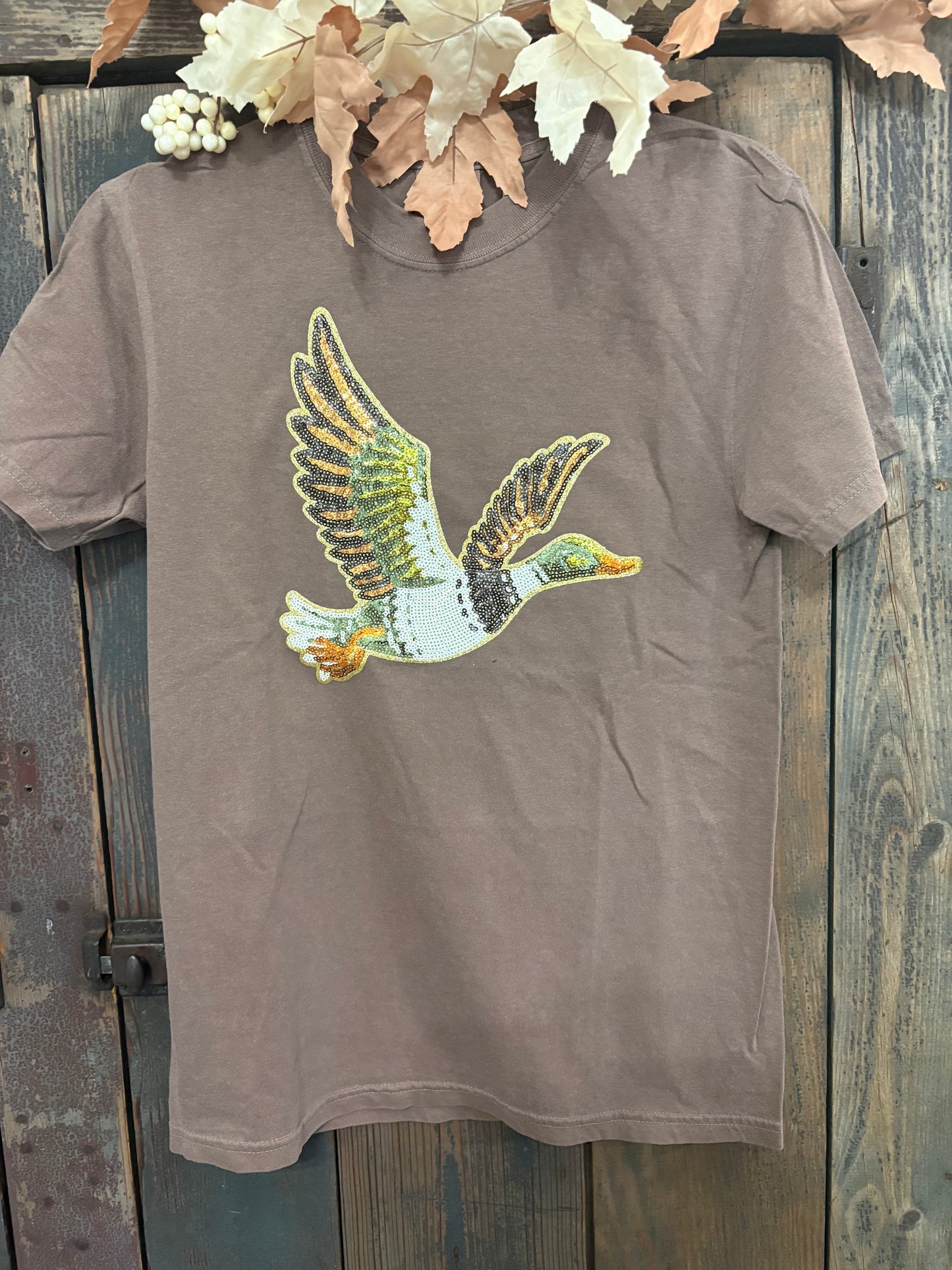 Flying Mallard