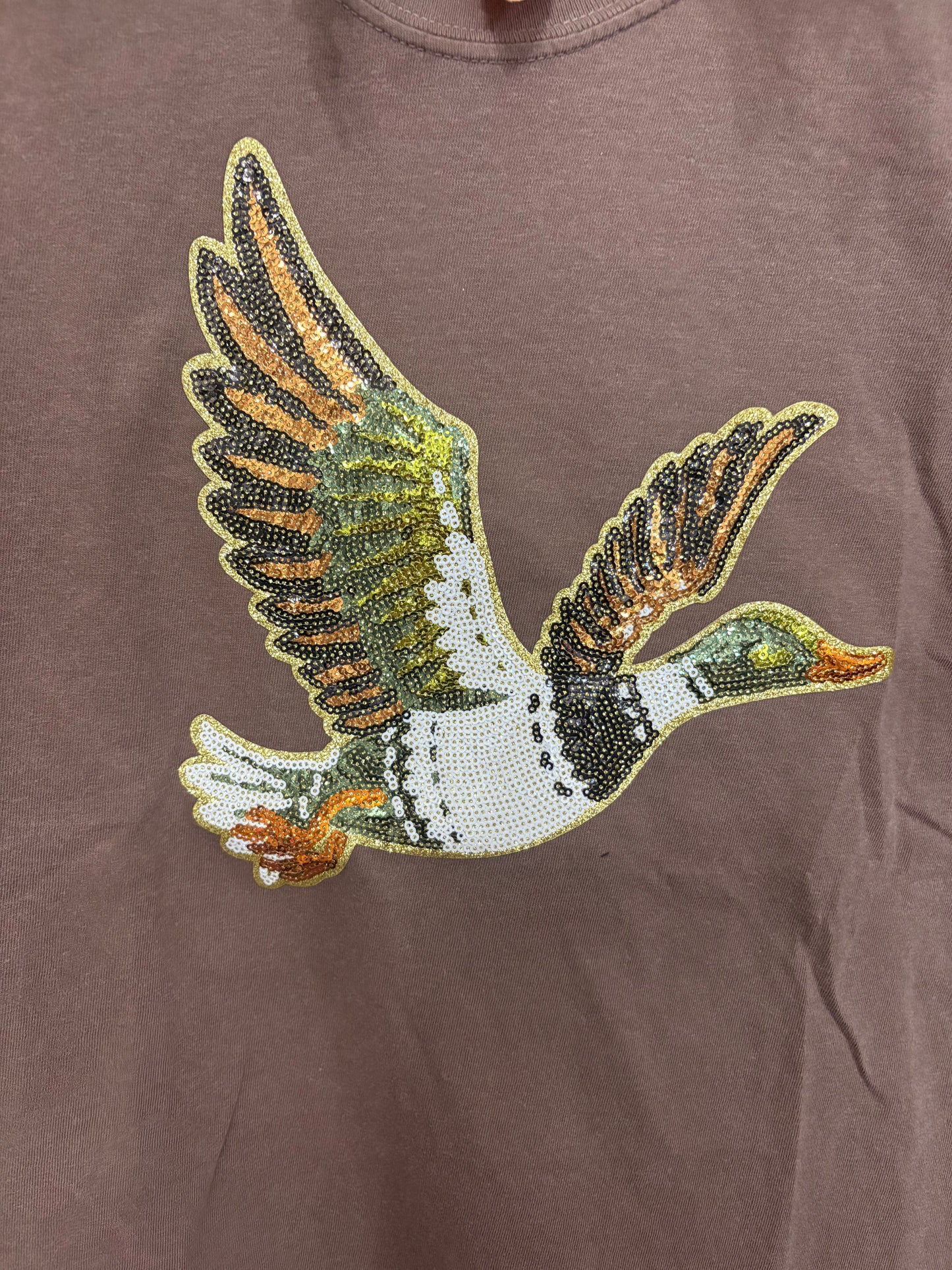 Flying Mallard