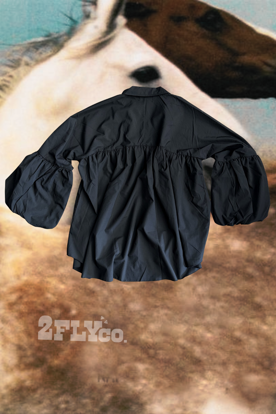 THE BRAZOS TOP